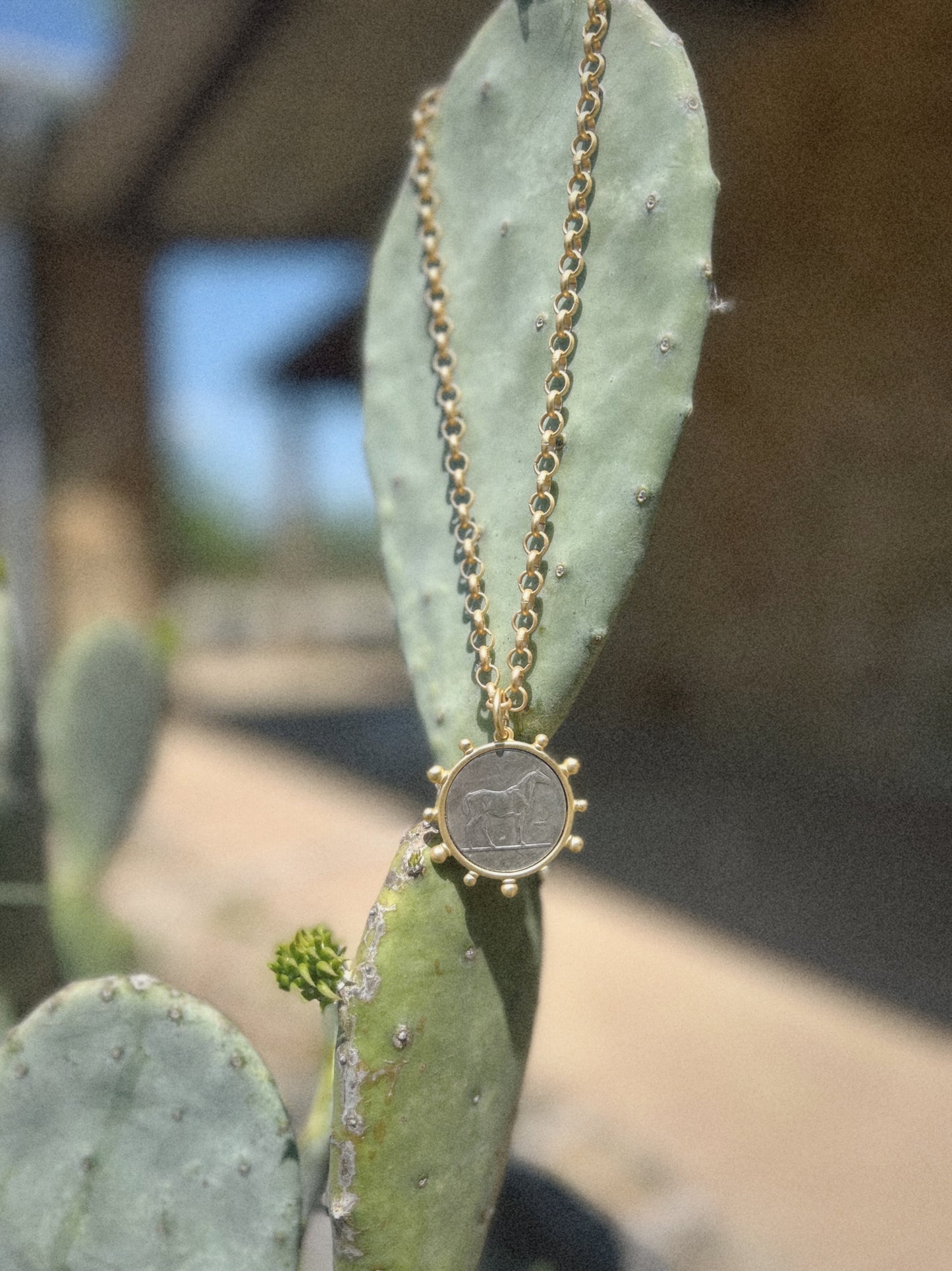 *PRE ORDER* Matte Gold Horse Coin Necklace